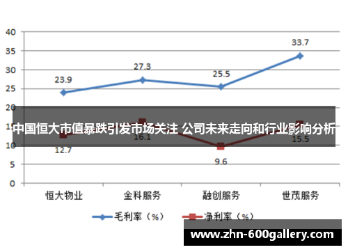 中国恒大市值暴跌引发市场关注 公司未来走向和行业影响分析